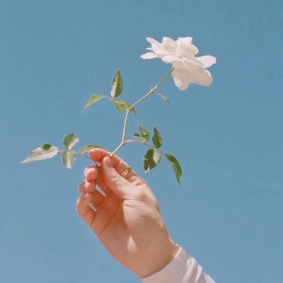 今天买什么特马