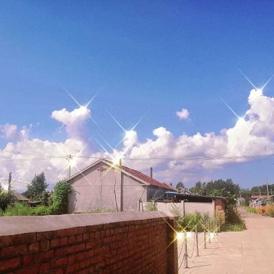 B体育APP官网下载