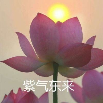 亚洲杯冠亚军竞猜