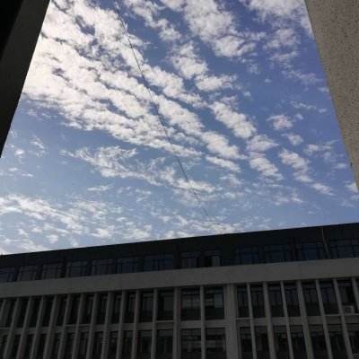 爱游戏官方