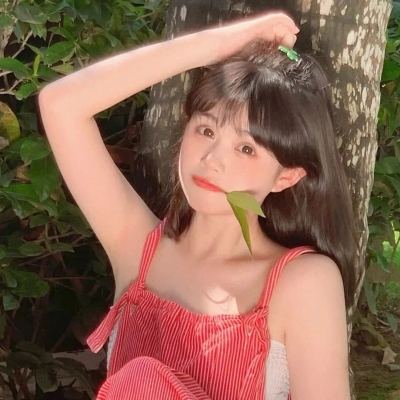 半岛·综合下载手机版