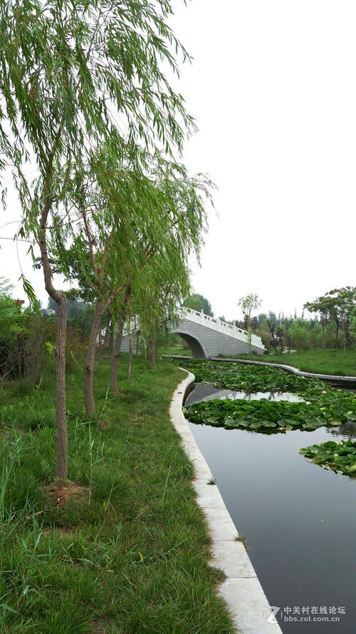 3、东平湿地公园