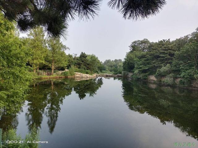 4.由北至南依次为水杉林、银杏林风景区、紫金山南麓的绿化景观带和大行宫景区森林公园。