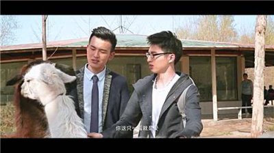 ​孔垂楠和黄礼格之间到底发生了什么 孔垂楠和黄礼格什么关系