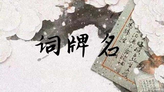 词牌名的作用以及使用（词牌名的含义与用法）