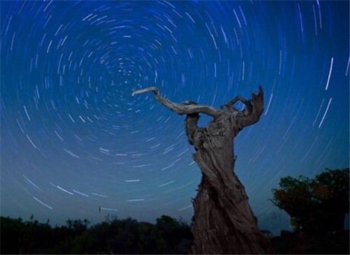 揭秘再生人的秘密是什么，再生人现象终于有了科学的解释