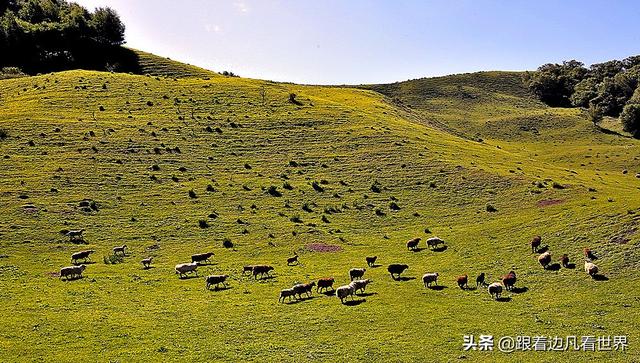 那拉提草原旅游攻略路线图（那拉提空中草原）(14)