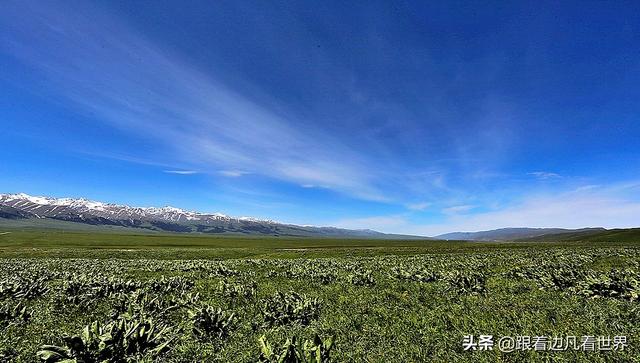 那拉提草原旅游攻略路线图（那拉提空中草原）(22)