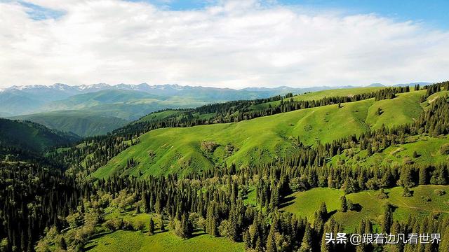 那拉提草原旅游攻略路线图（那拉提空中草原）(18)