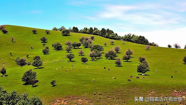 那拉提草原旅游攻略路线图（那拉提空中草原）(13)