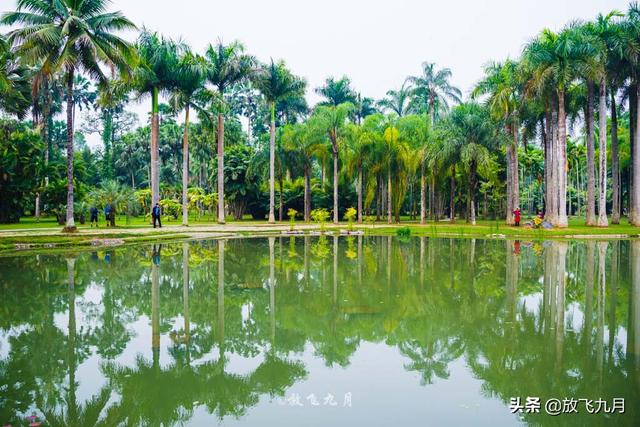自驾西双版纳旅游攻略（西双版纳5个特色景区）(5)