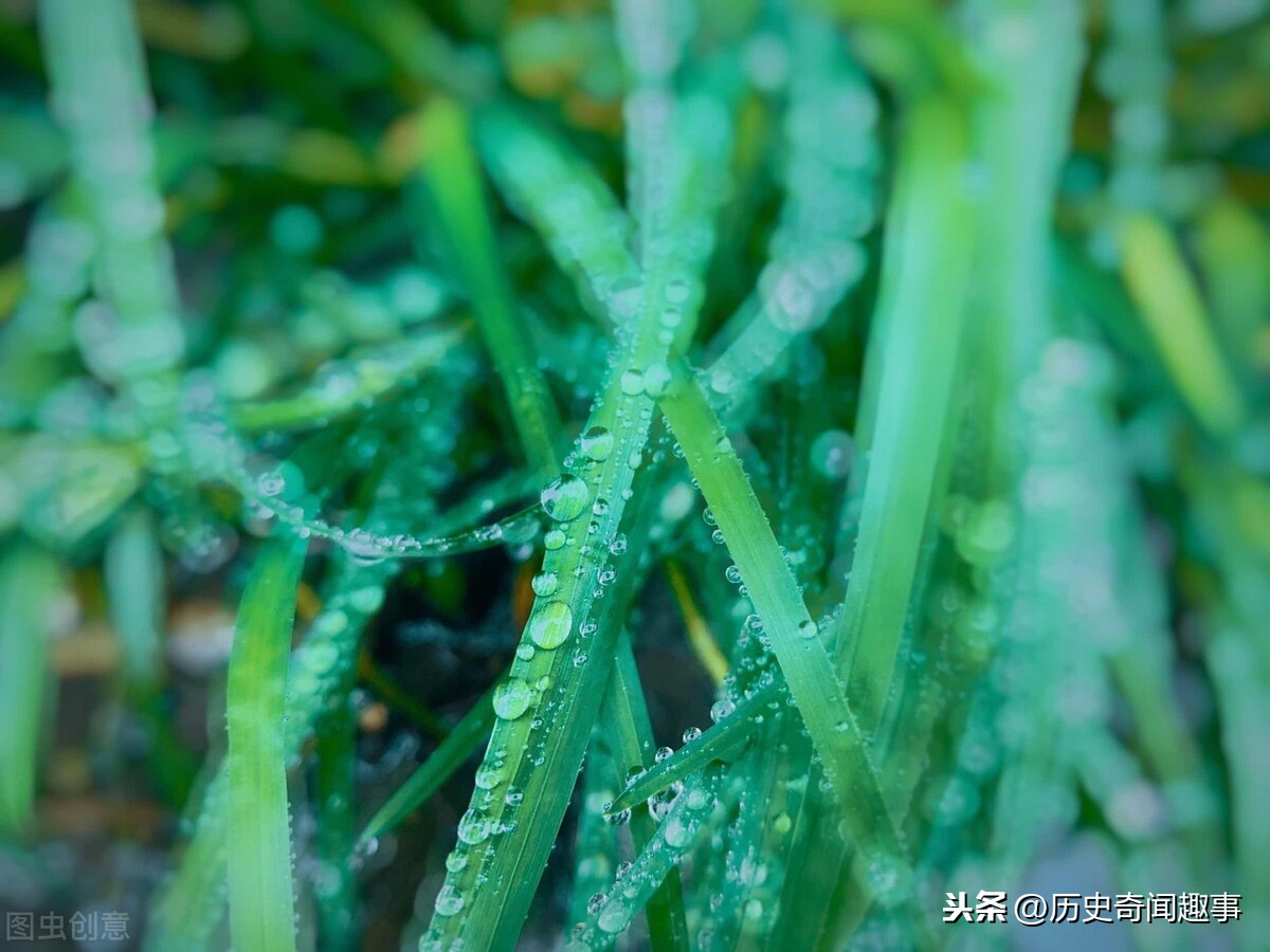 抒情诗之王——刘湛秋