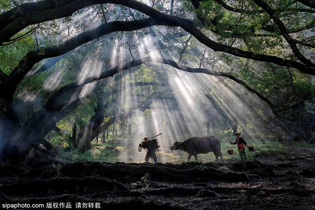 霞浦滩涂美景（梦幻滩涂旅摄胜地）(9)