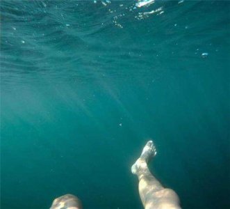 ​深海恐惧症图片（你有没有深海恐惧症）