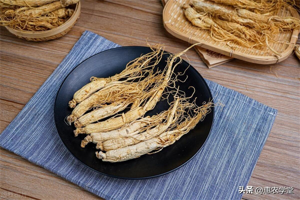 人参的主要产地在哪里(人参哪里的比较出名)