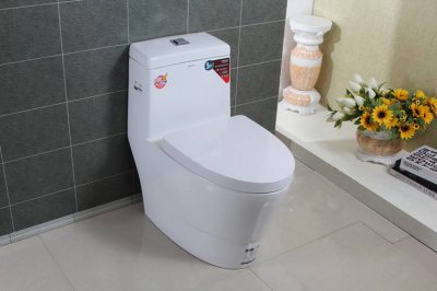 ​坐便器安装尺寸一般是多少(卫生间坐便器位置尺寸)