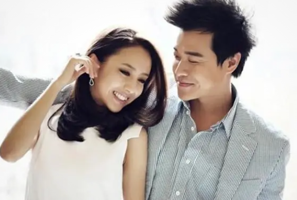 为什么佟丽娅会离婚,佟丽娅陈思诚离婚真相