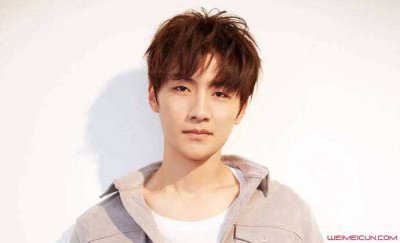 ​王青730事件是怎么回事 事件始末曝光与经纪人有关？