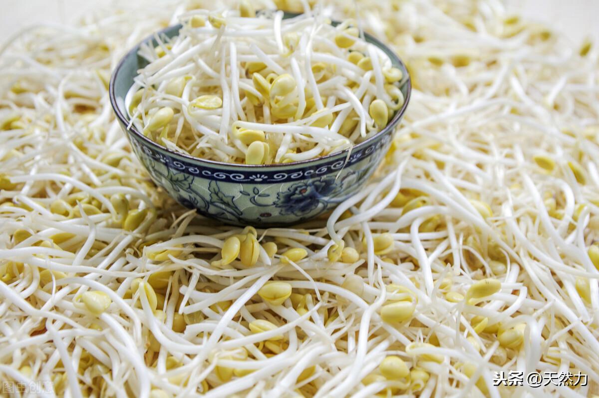 黄豆芽煮多久才算熟(黄豆芽煮几分钟能熟透)