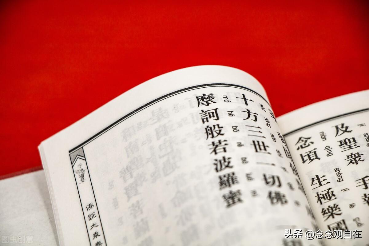 佛家皈依法号辈分表(佛教皈依法号排序)