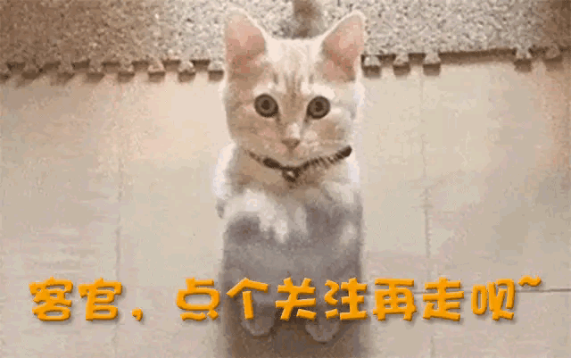 主持人赵川：3段婚姻，一婚记者，二婚画家，三婚小16岁的空姐