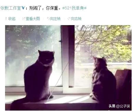 撒谎成性的牛萌萌，终究为自己的行为付出了代价
