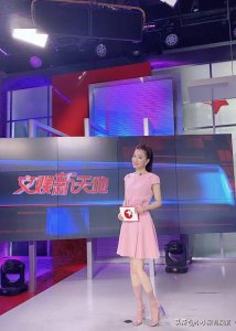 ​东方卫视主持人麻伊琳，她曾经风光出嫁，离婚后独自抚养儿子长大