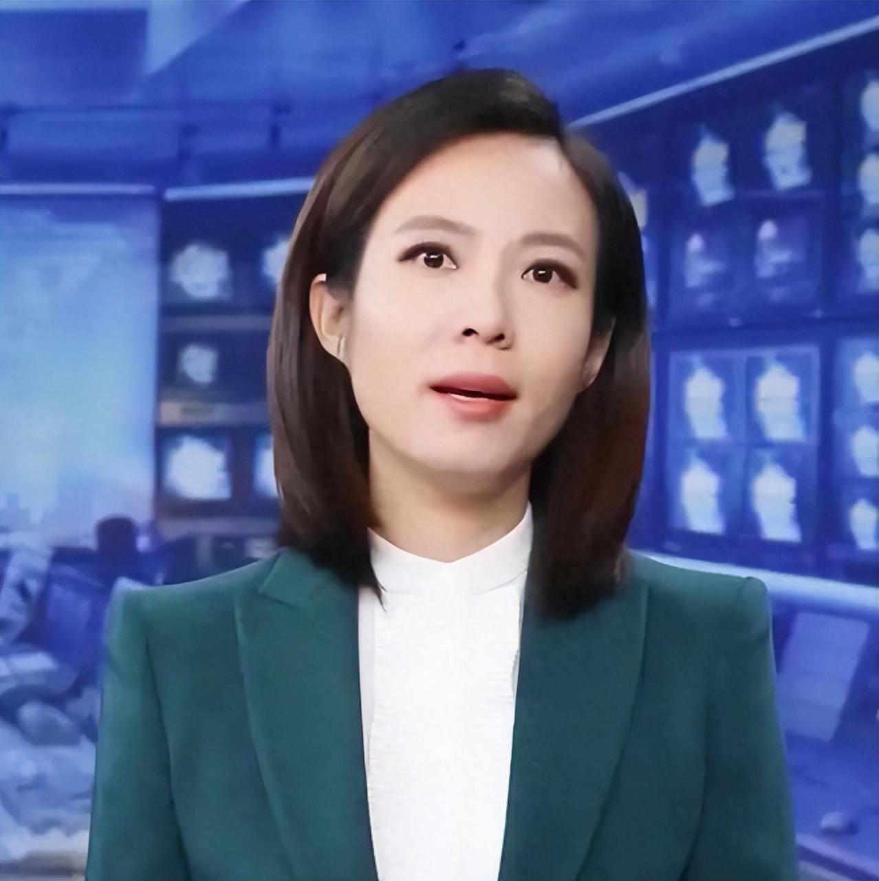 央视主持人宝晓峰个人简历（宝晓峰主持人经历介绍）-