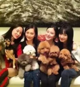​泰迪假脸姐妹团是什么意思（泰迪姐妹团现状9位成员境况悬殊）