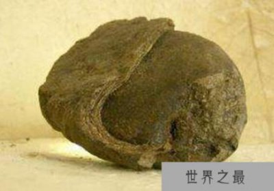 ​比黄金还珍贵的香料龙涎香，其实是抹香鲸的排