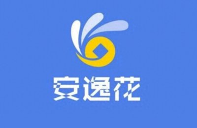 ​【投稿二】:95年女生创业与“安逸花”的债务纠缠之路