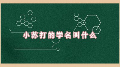 ​小苏打的学名是什么? 小苏打的学名是什么