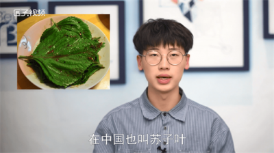 ​苏子的叶子 苏子叶名字的由来