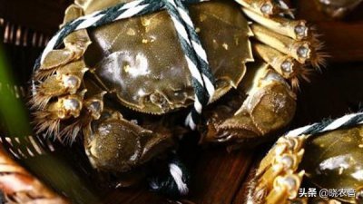 ​螃蟹如何区分休眠和死（四种判断螃蟹死没死的方法）