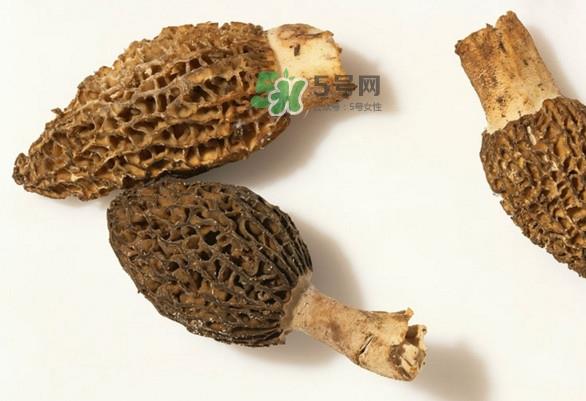 羊肚菌可以泡茶喝吗？羊肚菌可以生吃吗