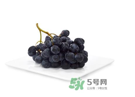 黑提有籽吗？黑提是什么季节的水果