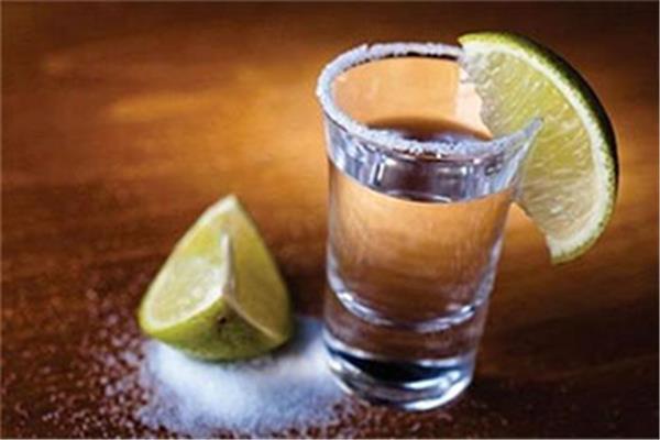 龙舌兰酒是什么酒 龙舌兰酒一般多少钱