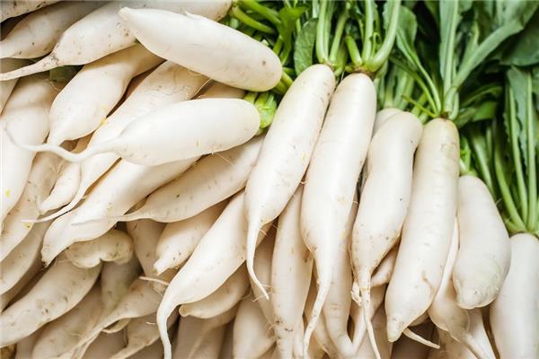 白萝卜回奶还是催奶 白萝卜哺乳期能吃吗