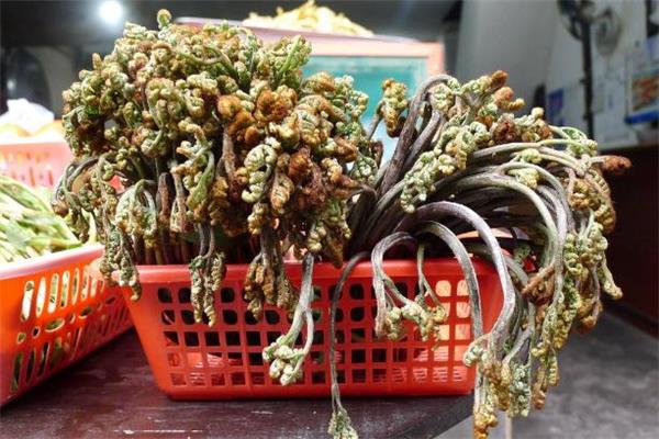 吃蕨菜过敏有什么症状 吃蕨菜过敏了怎么办