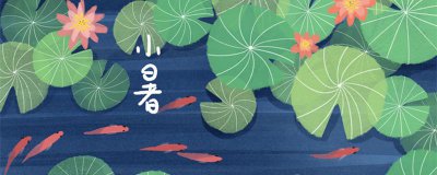 ​小暑是伏天吗