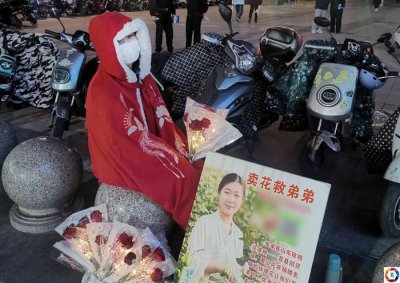 ​天寒地冻，20岁漂亮女大学生卖花救弟弟，站街数小时无人问津