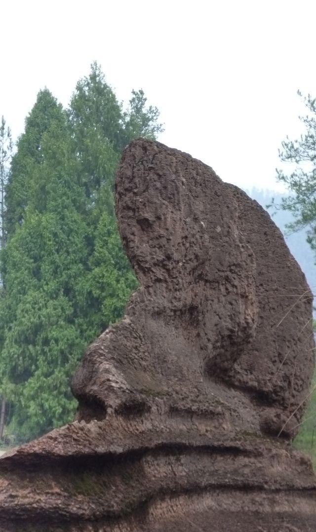 古丈红石林：全球唯一在寒武纪形成的红色碳酸岩石林景区
