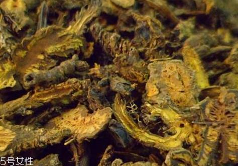 黄连可以去痘痘吗 仅对两种痘有效