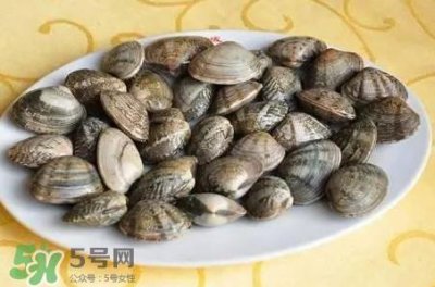 ​蛤蜊和花甲一样吗？蛤蜊和花甲的区别