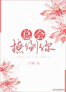 ​5本女追男甜宠文｜使出十八般武艺，《总会撩倒你》