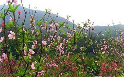 ​全国气温快速回升怎么回事 大部分地区有望回升到20℃