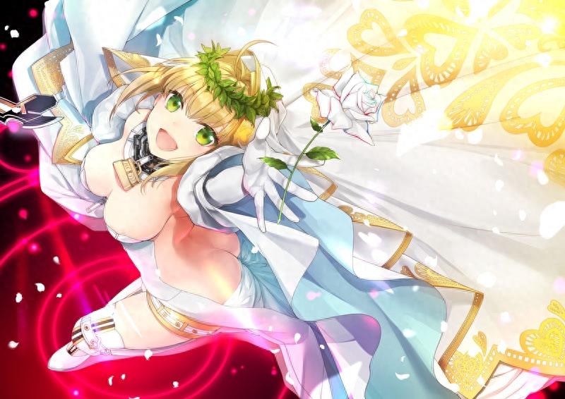 Fate｜Saber尼禄高清美图，哪张是你的一见倾心