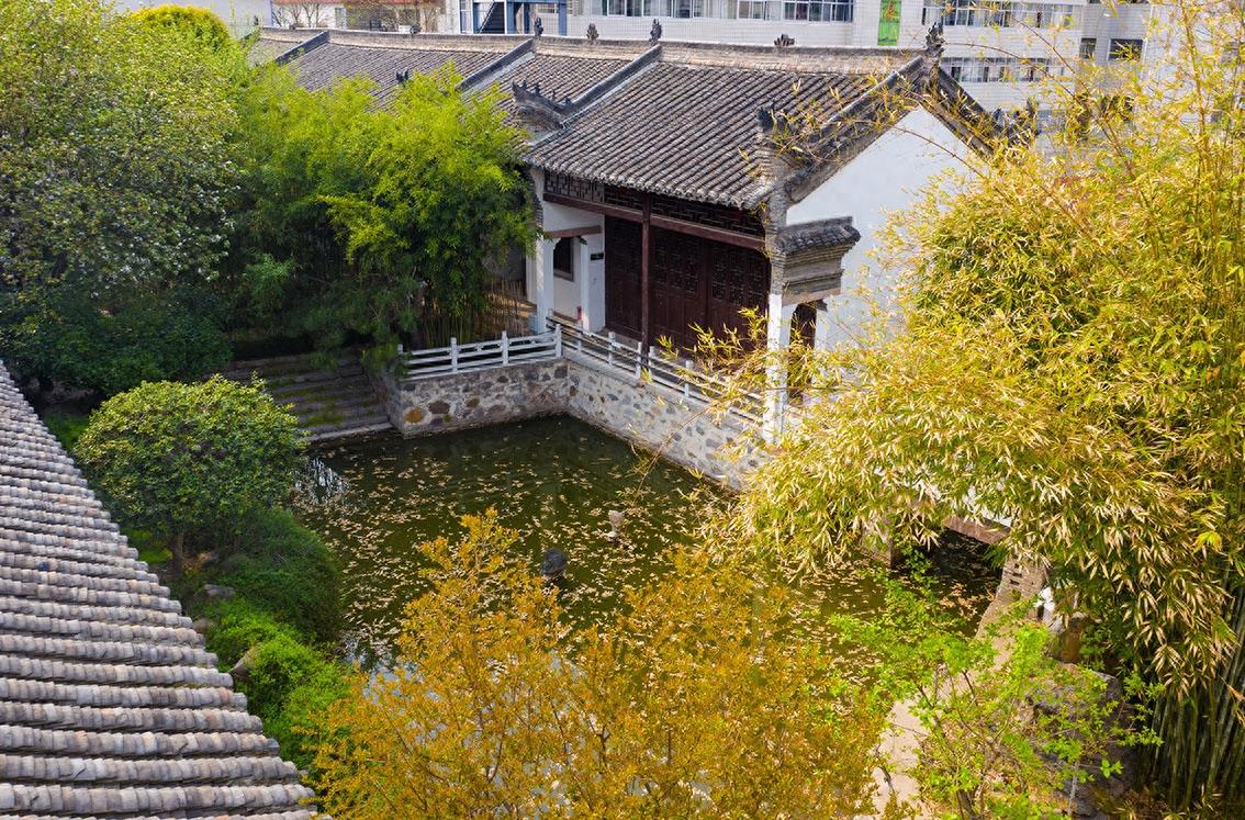 北京中南海西花厅的海棠树在邓颖超祖居开花了，她原来是光山人呀