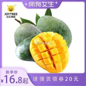 ​蜜丝婷大草莓和小草莓：全面分析适用于不同需求的护肤产品！