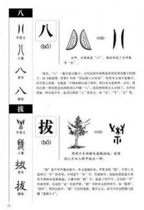 ​揭秘2019中文字大全解析！